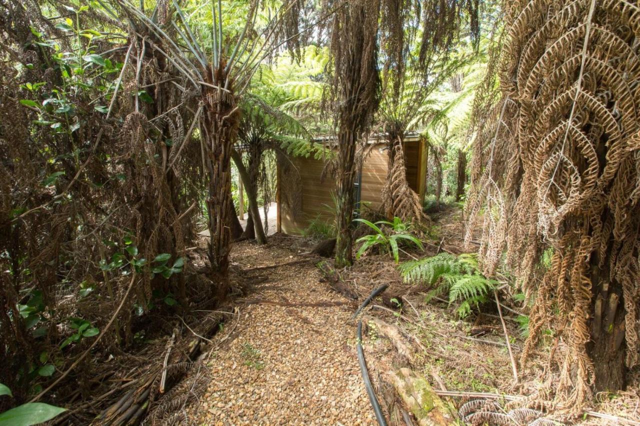 Karaka Sanctuary With Spa Pool By Waiheke Unlimited Oneroa Bilik gambar